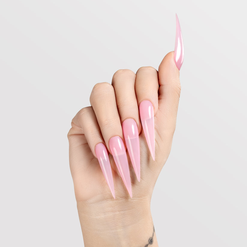 Chaun Legend Gel - LG5005 Chefs Kiss